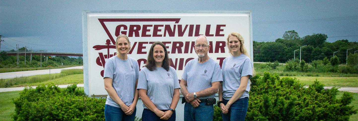 Greenville veterinarians